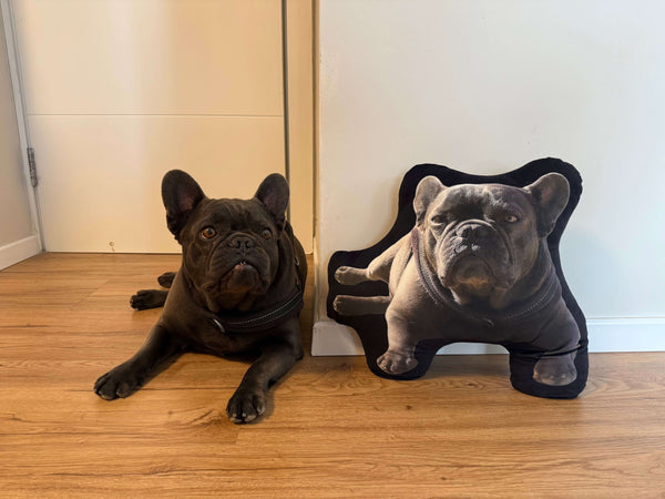Custom Pet Pillow