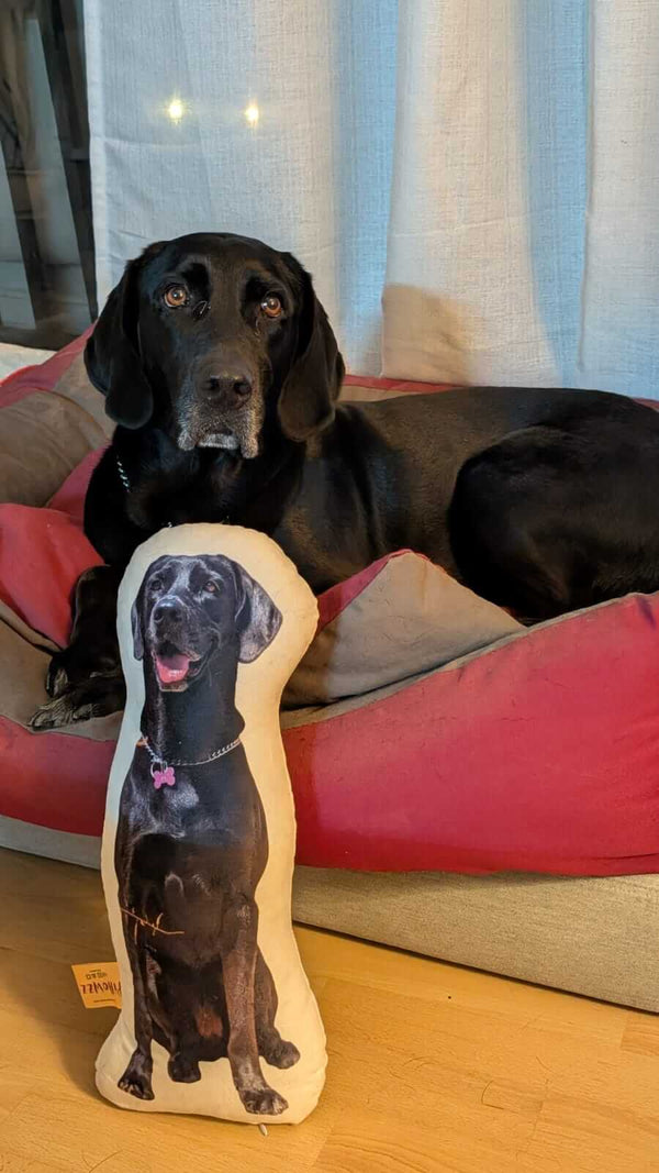 Love this custom pillow! 😍