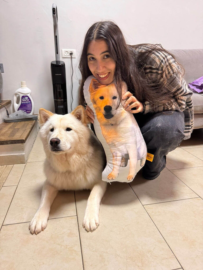 רעיון לכרית