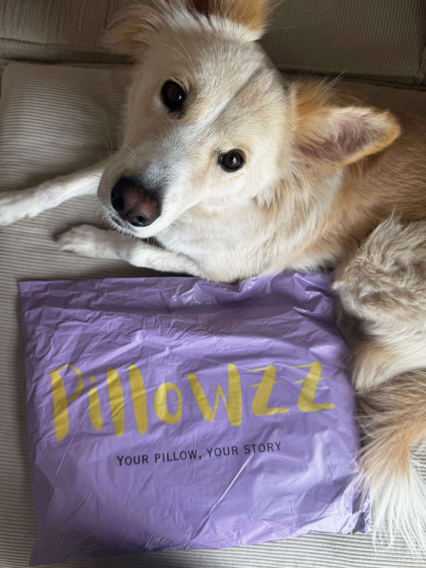 Love this custom pillow! 😍